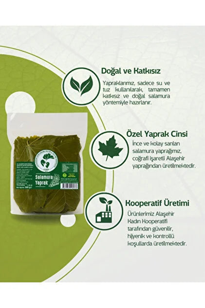 Alaşehir Kadın Girişimi Pickled Grape Leaves from Turkey (500 gr)