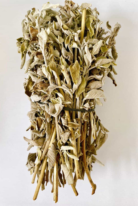 Vintage Sage Tea (50 gr 1.8oz)