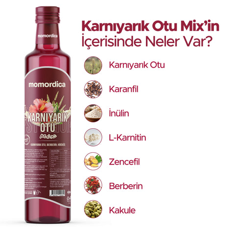 Momordica Psyllium Husk 250 ml