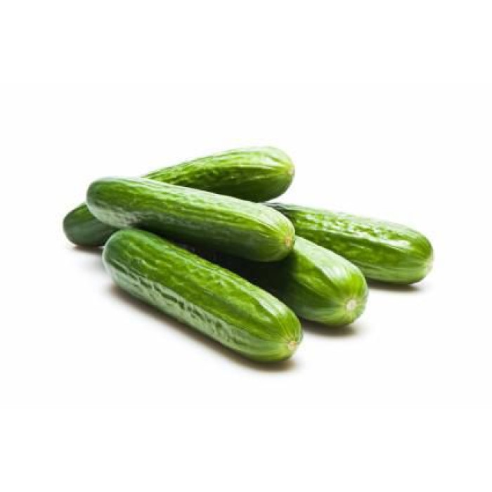 Premium Persian Cucumber