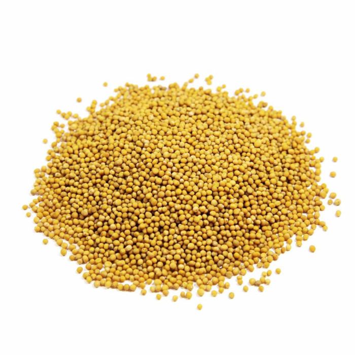 Başak Mustard Seed- (40 gr 1.4oz)